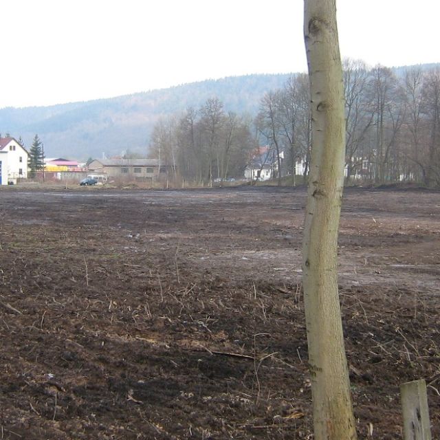 Revitalisierung 